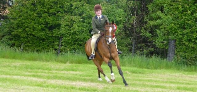 Protected: Horses